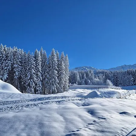 Ski-inski-out With Mont Blanc View